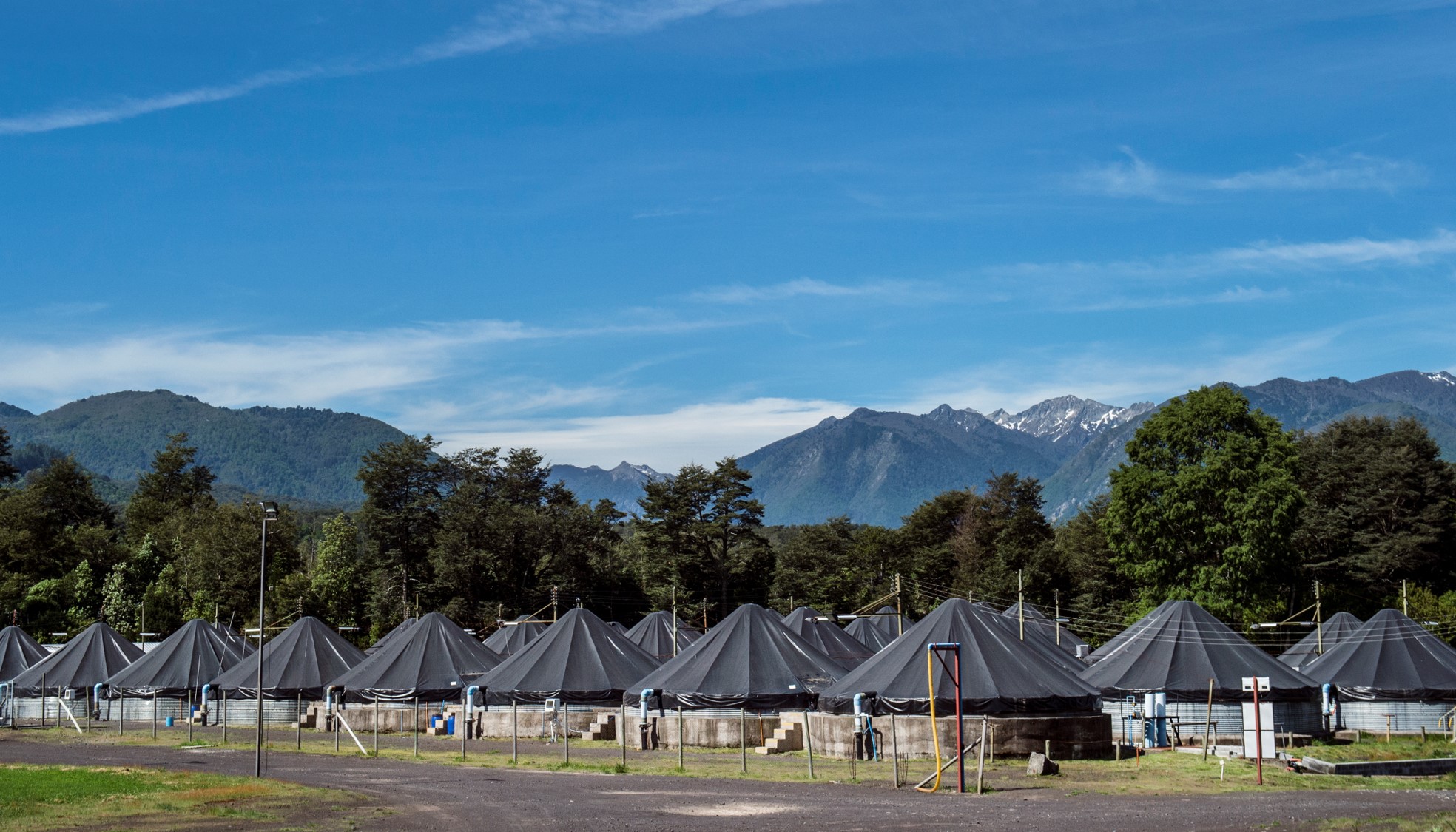 養(yǎng)殖場(chǎng)10